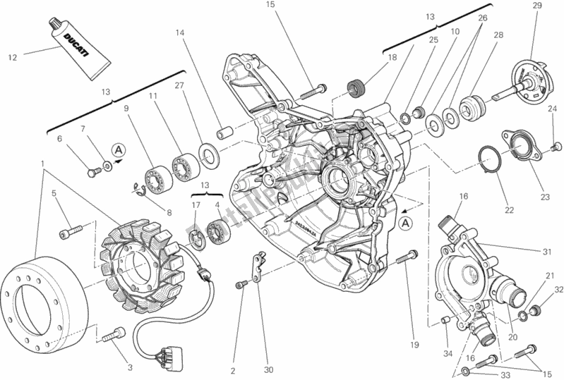 Wszystkie części do Pokrywa Generatora Ducati Diavel Carbon USA 1200 2011